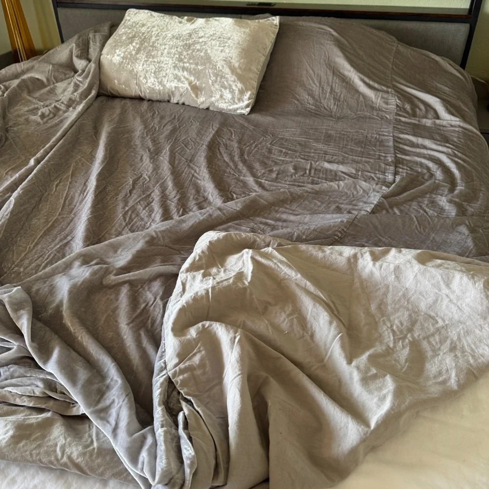 West Elm Duvet Cover Set Full Queen Silver Crushed Velvet Shimmer 1 pillow sham